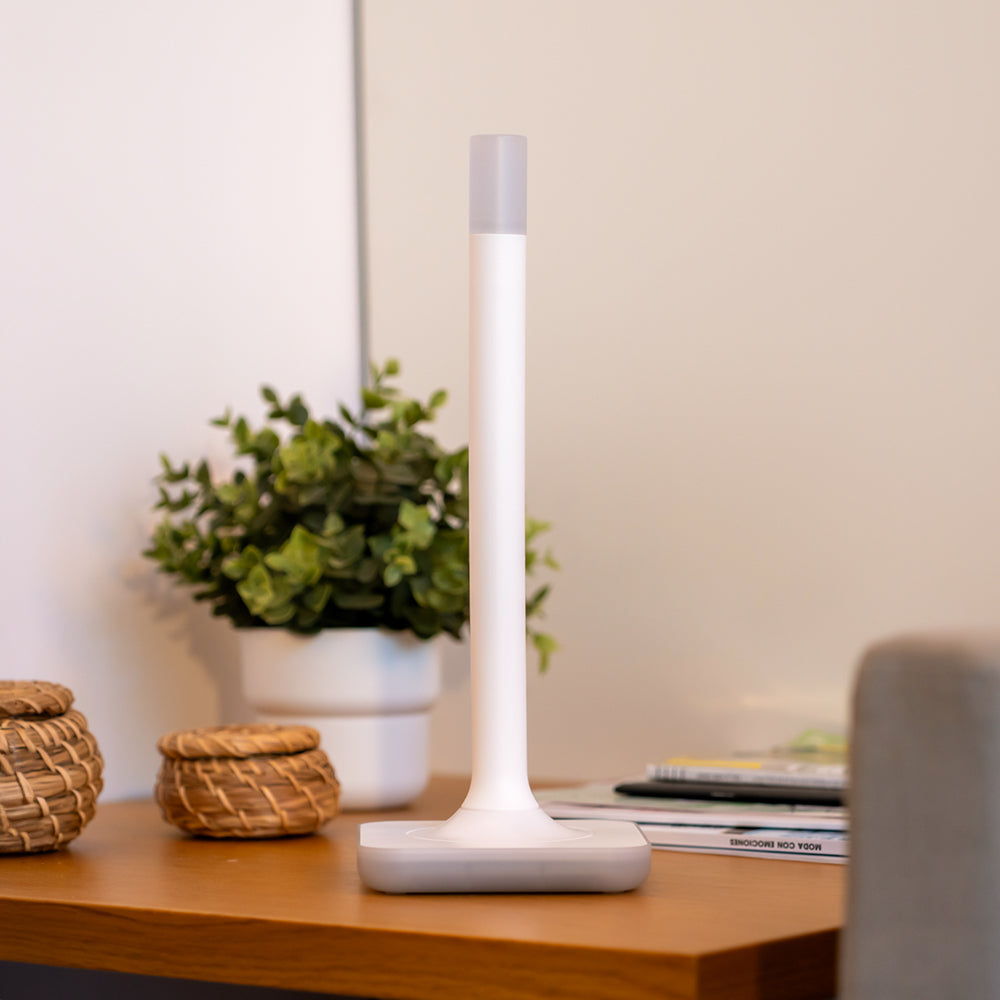 Home Assistant Connect ZWA-2 Antenne - Z-Wave 800 - Long Range - Plus - Plus V2